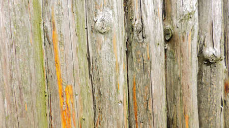 Natural background - Old rustic woodの写真素材