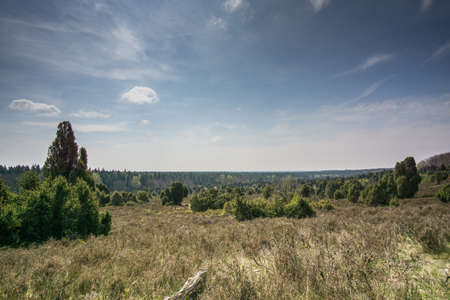 Nature conservation area with many trees and blue skyの写真素材
