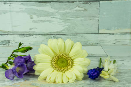 Colorful bouquet on a white rustic wooden backgroundの写真素材