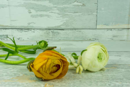 Colorful bouquet on a white rustic wooden background