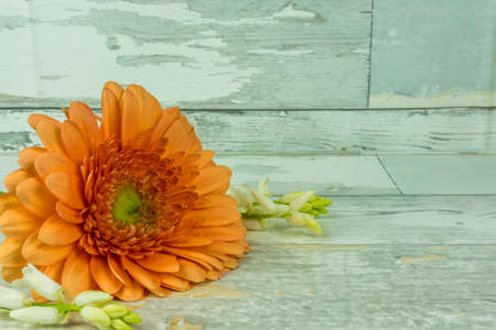 Colorful bouquet on a white rustic wooden backgroundの写真素材