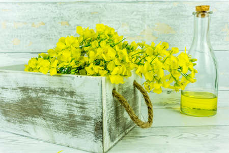 Rapeseed flowers with a bottle of rapeseed oil on a rustic wooden tableの写真素材