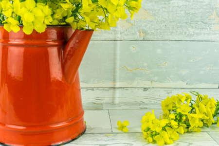 Rape flowers with old cofee can on a rustic wooden backgroundの写真素材