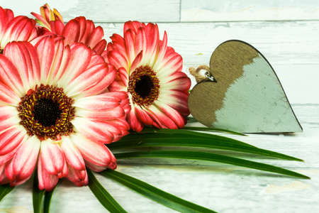 White heart with colored gerberas on a rustic wooden tableの写真素材