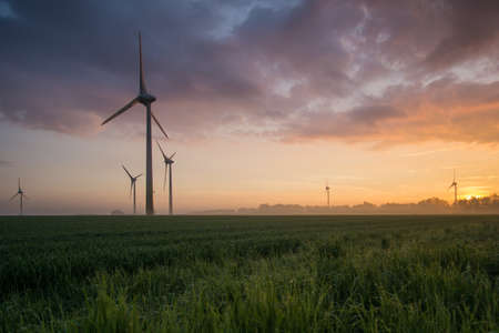 wind wheels at sunrise and fog with dark clouds