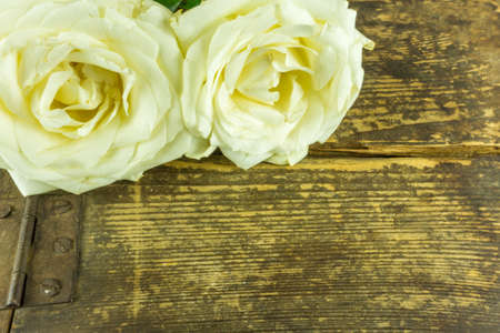 White roses on a rustic wooden tableの写真素材