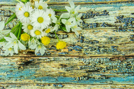 Colorful summer flowers on a colored wooden backgroundの写真素材