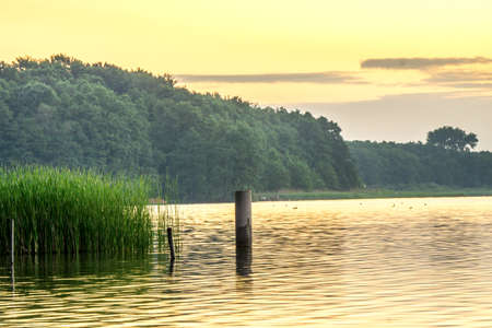 Lake with reeds at sunrise in a nature reserveの写真素材