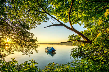 Lake with reed and sailboat at sunrise in a nature reserveの写真素材