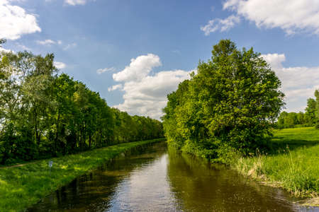 Small river with trees with blue skyの写真素材