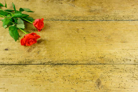 Red roses on a rustic wooden board as a backgroundの写真素材