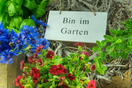Herbs, flowers and green leaves with a sign in the garden in Germanの写真素材