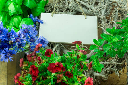 Herbs, flowers and green leaves with a sign for own textの写真素材