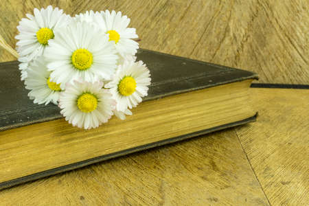 Old book on a rustic wooden board with daisiesの写真素材