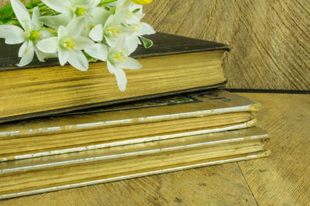 Old book on a rustic wooden board with daisiesの写真素材