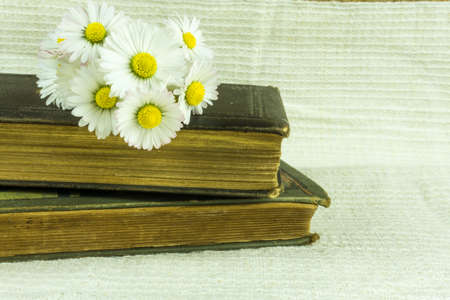 Old book on a fabric background with daisies