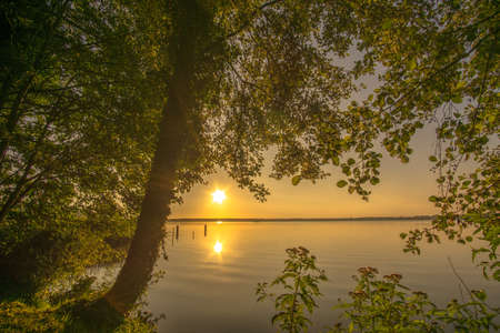 Trees at sunrise on a small lakeの写真素材
