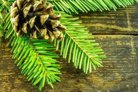 Christmas decoration branches of a fir tree on a rustic boardの写真素材