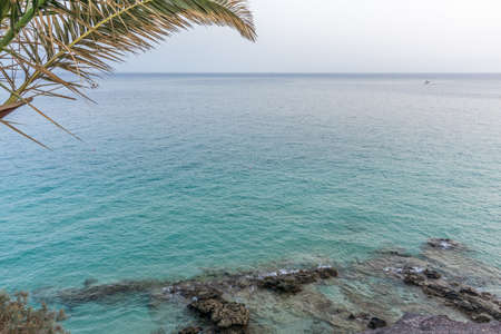Palm trees in front of a beach and blue water