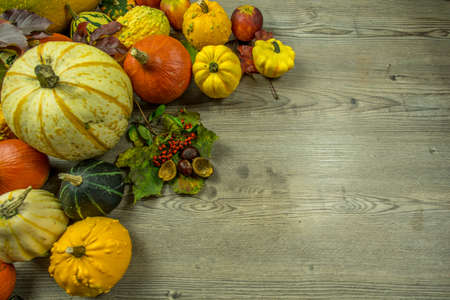 Autumnal decoration from various fruits. Pumpkin, courgette, cerealの写真素材