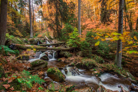 Mountain stream with waterfall in an autumn forest. time exposureの写真素材