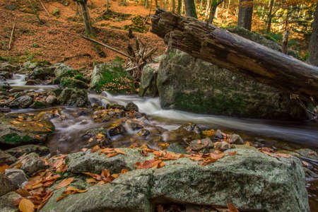 Mountain stream with waterfall in an autumn forest. time exposureの写真素材