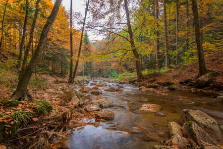 Mountain stream with waterfall in an autumn forestの写真素材