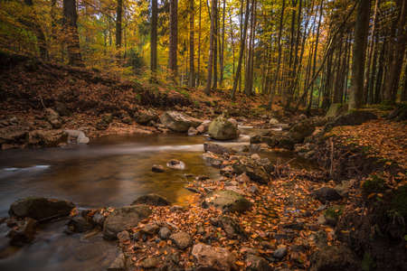 Mountain stream with waterfall in an autumn forestの写真素材