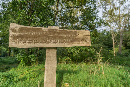 wooden signboard in front of a forestの写真素材