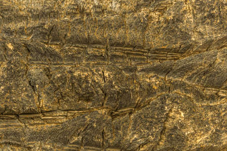 background from lava rock