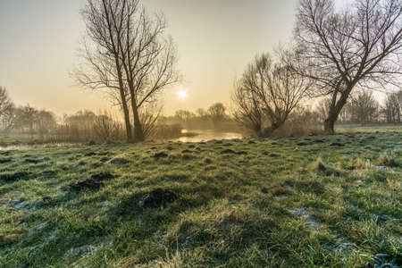nature reserve in winter at sunrise with ice and frostの写真素材
