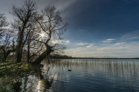 A lake in the nature reserve in winter with sunshine and blue skyの写真素材