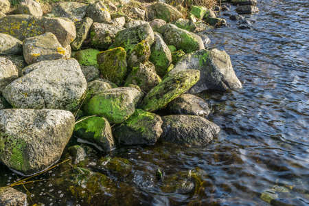 lake shore with rocks in winter with sunshineの写真素材