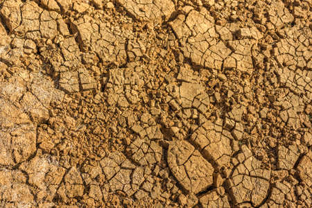 a dry earth with many cracks in sunshine as a backgroundの写真素材