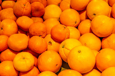 big and small oranges as backgroundの写真素材