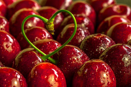 red cherries with a stalk in heart shapeの写真素材