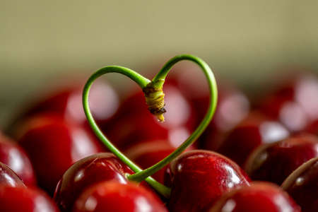 red cherries with a stalk in heart shapeの写真素材