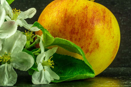 red yellow apple with white flowers and green leavesの写真素材