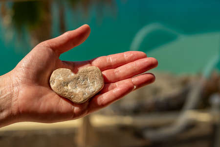 A female hand with a stone in the shape of a heart in front of a blurred background of palm treesの写真素材