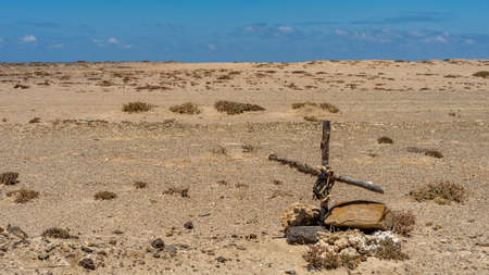 A simple wooden cross for an injured driver on a coastal road with blue skyの写真素材