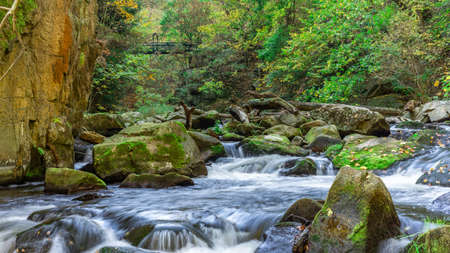 Waterfall with colorful leaves and green moss in autumn. Germany in the Bode Valleyの写真素材