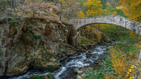 Waterfall with colorful leaves and green moss in autumn. Germany in the Bode Valleyの写真素材