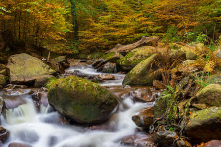 A waterfall in the mountains with autumn colored trees as a long exposureの写真素材