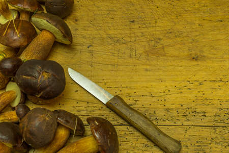 Mushrooms from the forest lie on an old wooden board and a knifeの写真素材