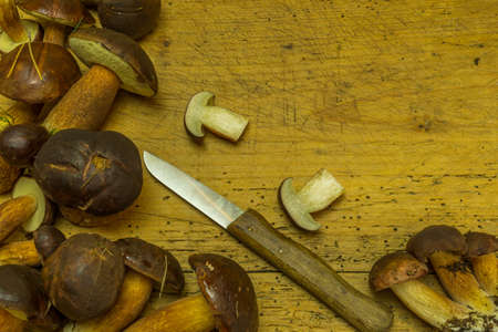 Mushrooms from the forest lie on an old wooden board and a knifeの写真素材