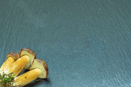 Fresh mushrooms from the forest lie on a slate backgroundの写真素材