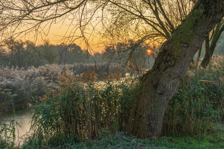 A park landscape in late autumn at sunrise and frost