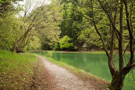 A mountain Lake and forest in autumn - Italyの写真素材
