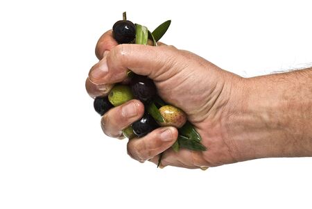 A hand full of olives.の写真素材