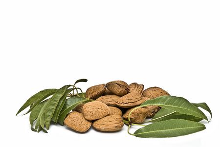 Almonds isolated on white background.の写真素材